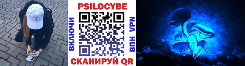 Купить где  Щёлково  Псилоцибиновые грибы Psilocybine cubensis 
